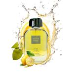 Chairperson Silver Fame 100Ml